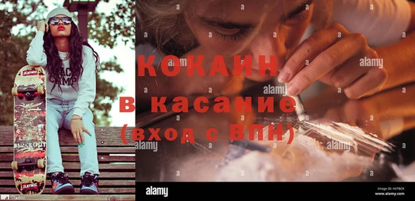 дживик Наволоки
