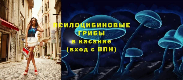 дживик Наволоки