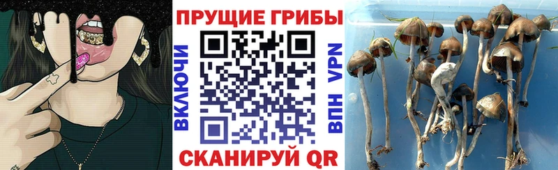 Галлюциногенные грибы мицелий Балаково