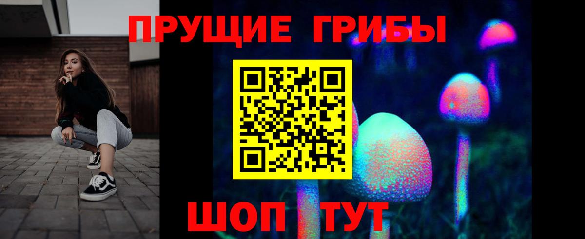 Балаково  Галлюциногенные грибы MAGIC MUSHROOMS  Псилоцибиновые грибы MAGIC MUSHROOMS  Вход с VPN 